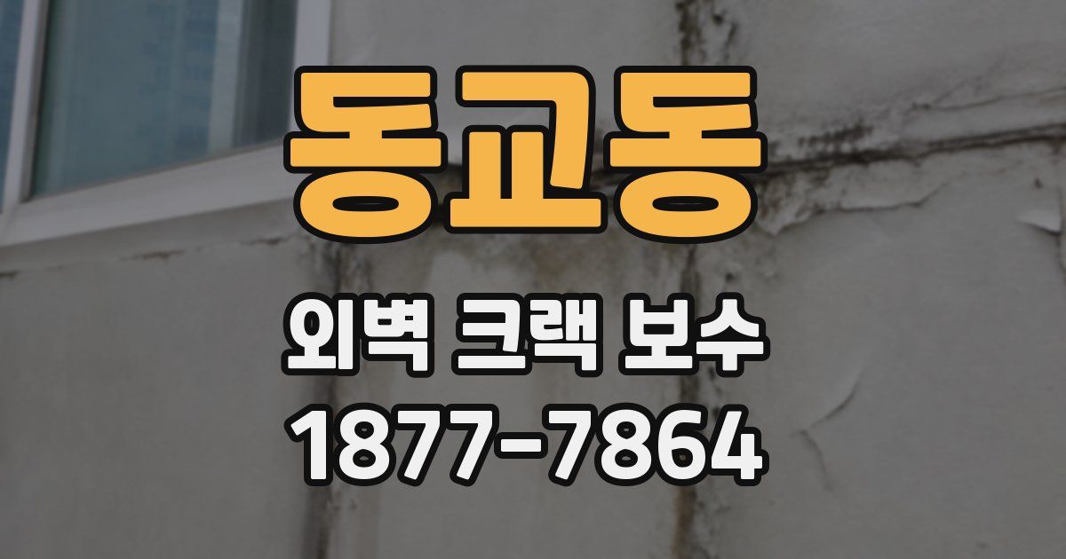 동교동 외벽 크랙 보수