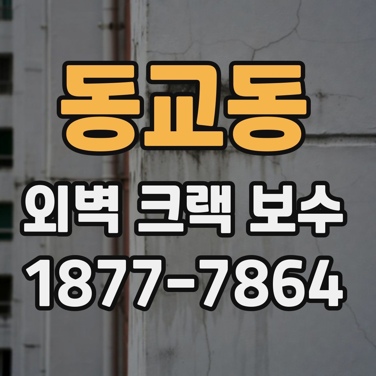 동교동 외벽 크랙 보수