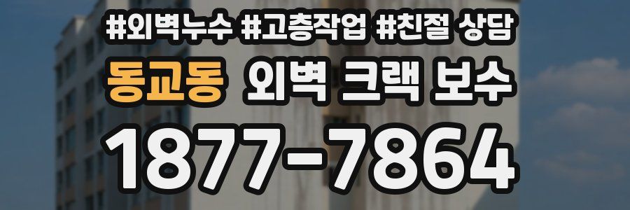 동교동 외벽 크랙 보수