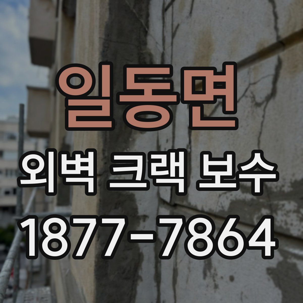 일동면 외벽 크랙 보수