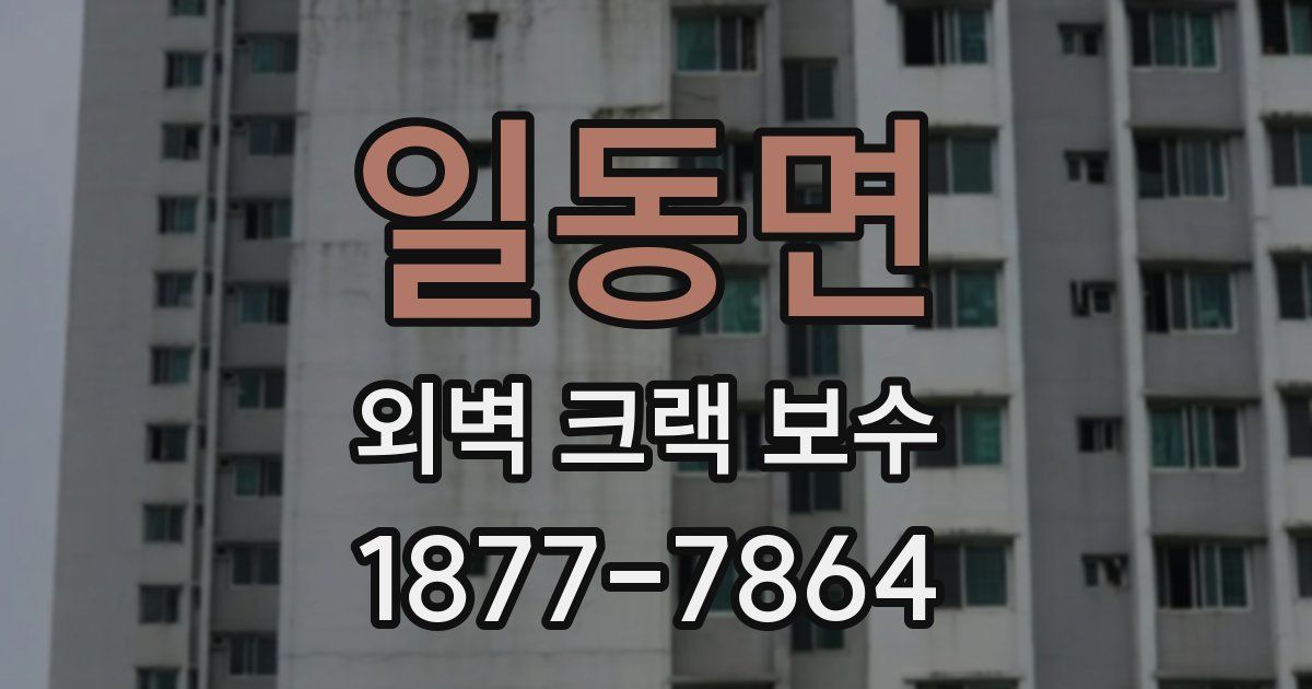 일동면 외벽 크랙 보수