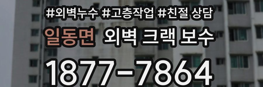 일동면 외벽 크랙 보수