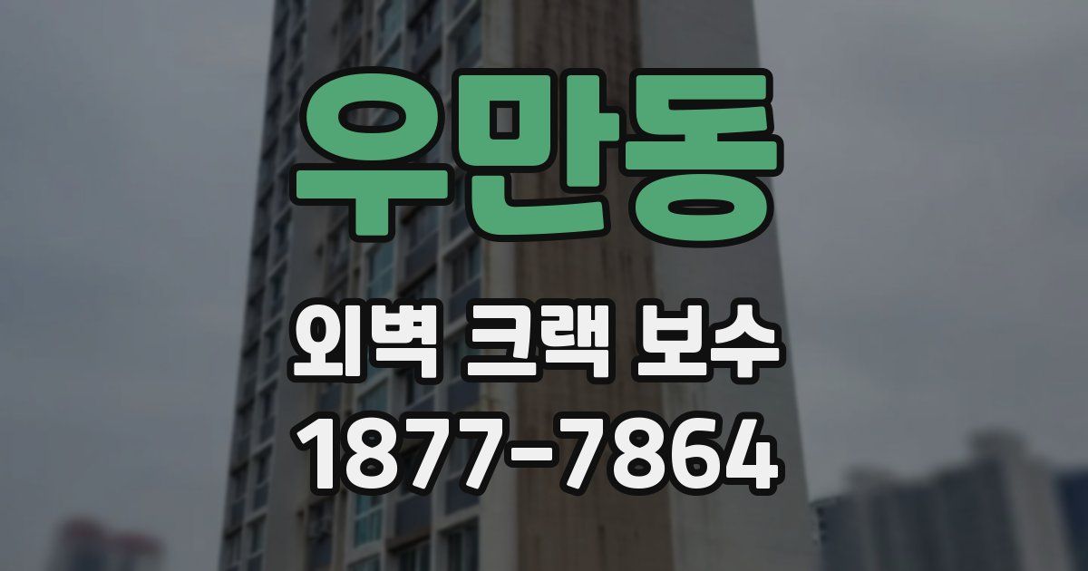 우만동 외벽 크랙 보수