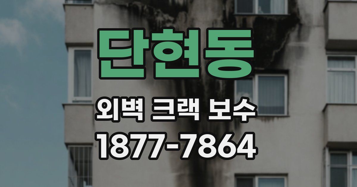 단현동 외벽 크랙 보수