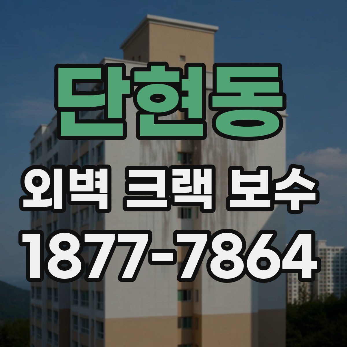 단현동 외벽 크랙 보수