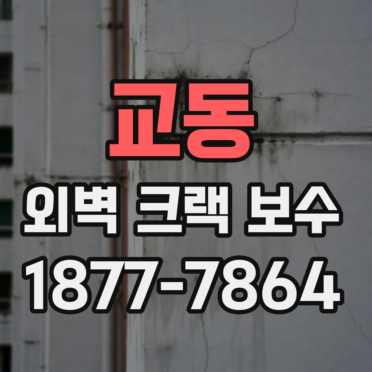 교동 외벽 크랙 보수