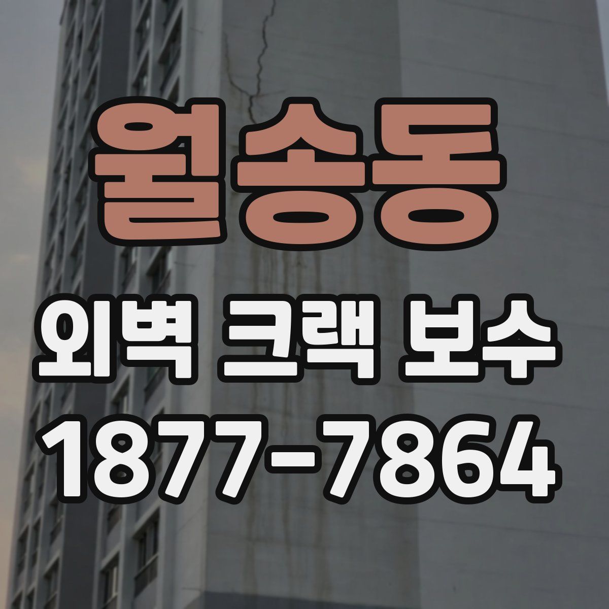 월송동 외벽 크랙 보수