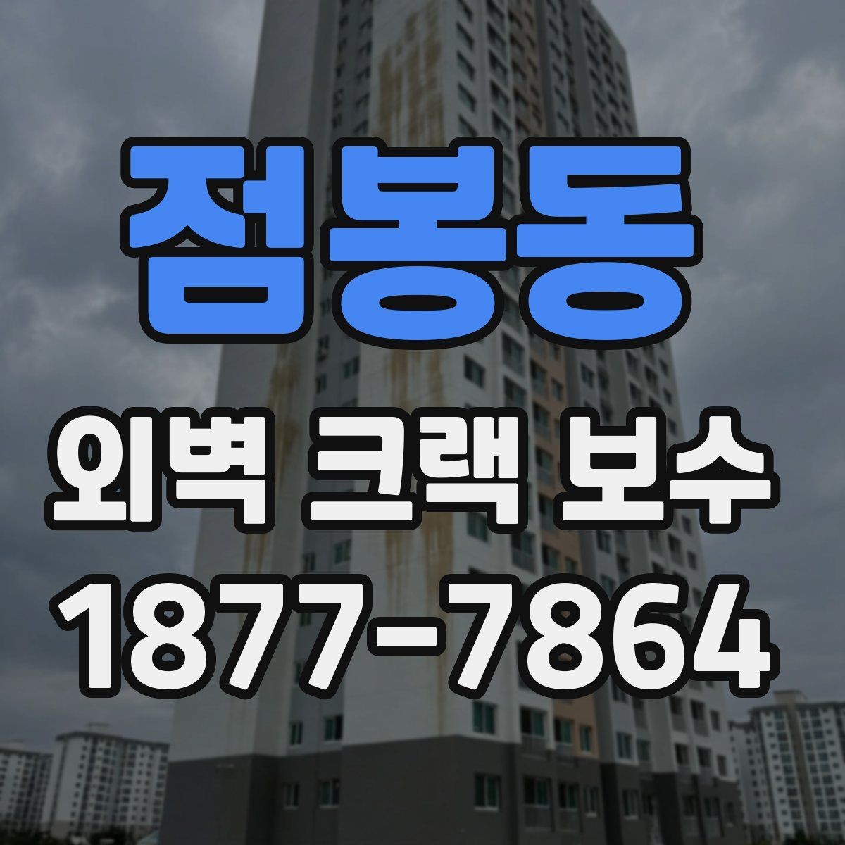 점봉동 외벽 크랙 보수 공사 전후 사진으로 보는 변화