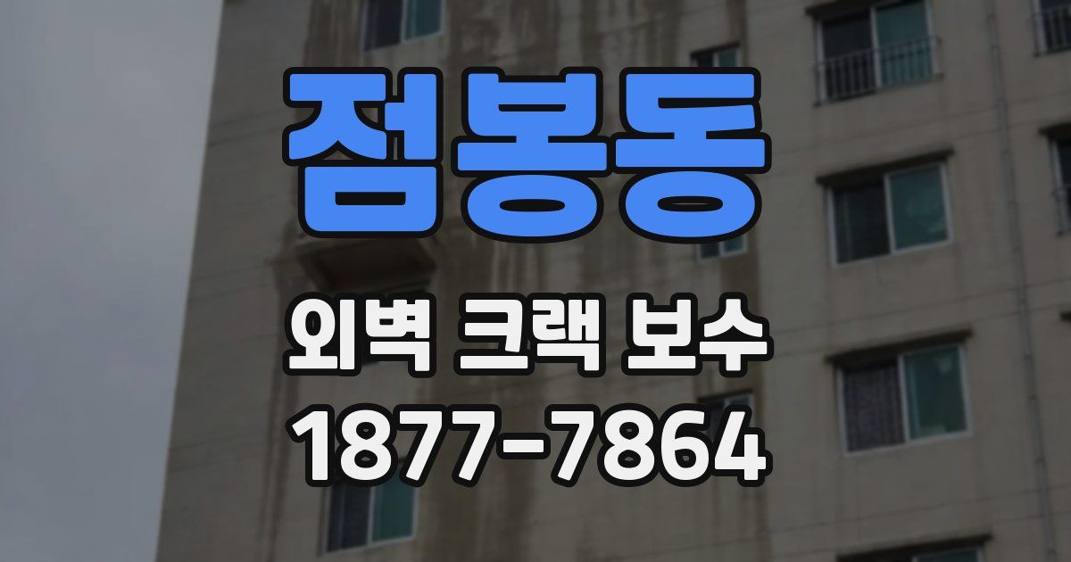 점봉동 외벽 크랙 보수