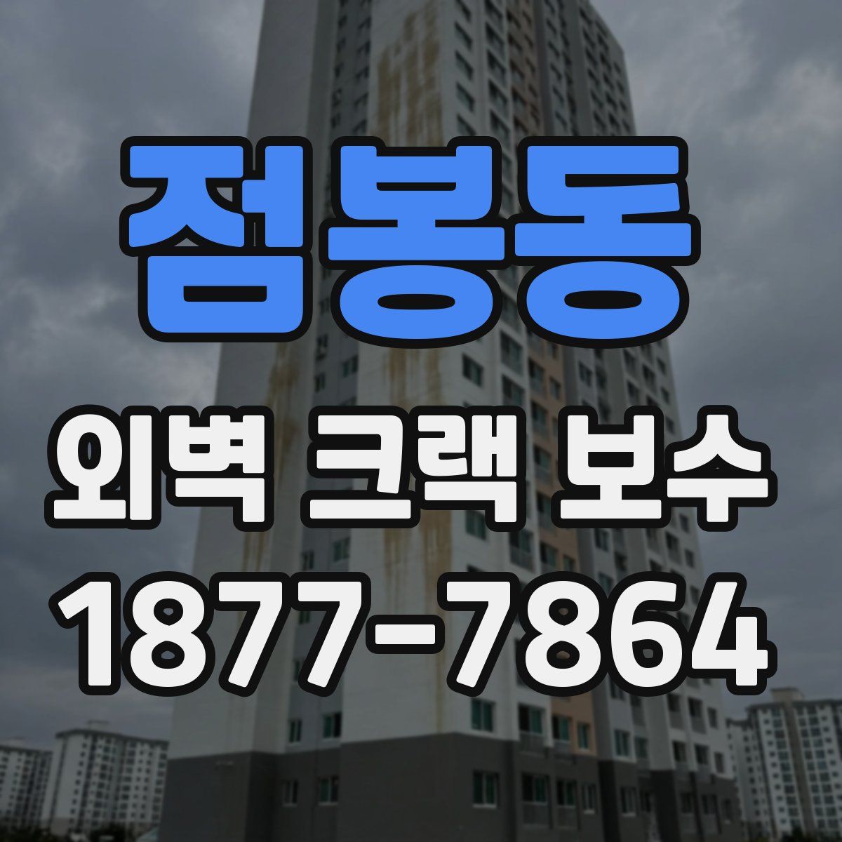 점봉동 외벽 크랙 보수