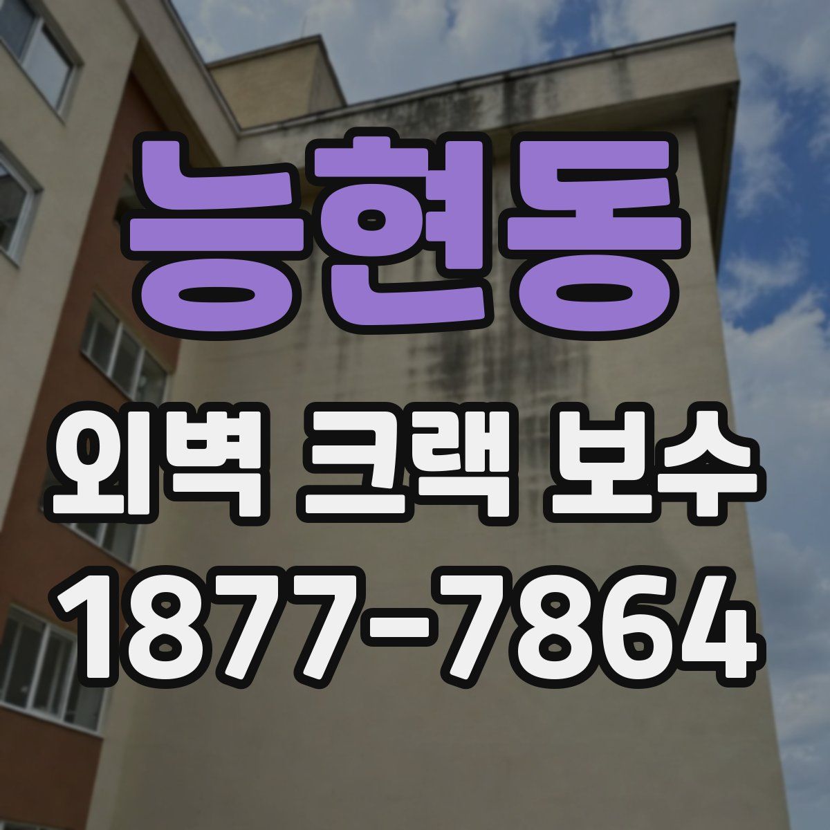 능현동 외벽 크랙 보수