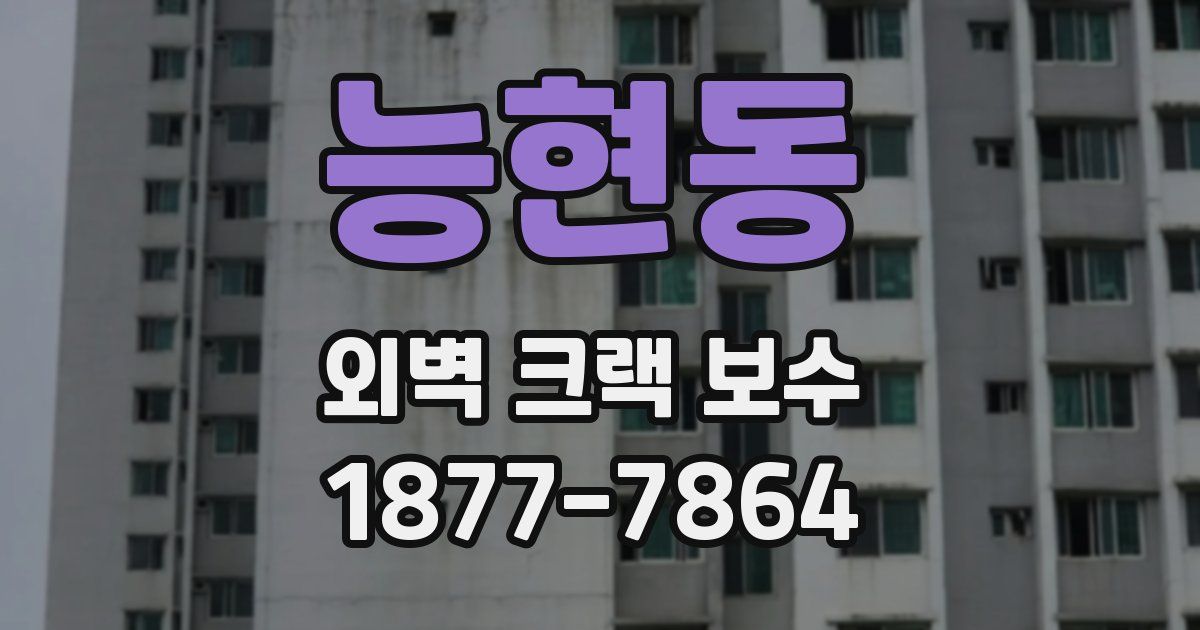 능현동 외벽 크랙 보수