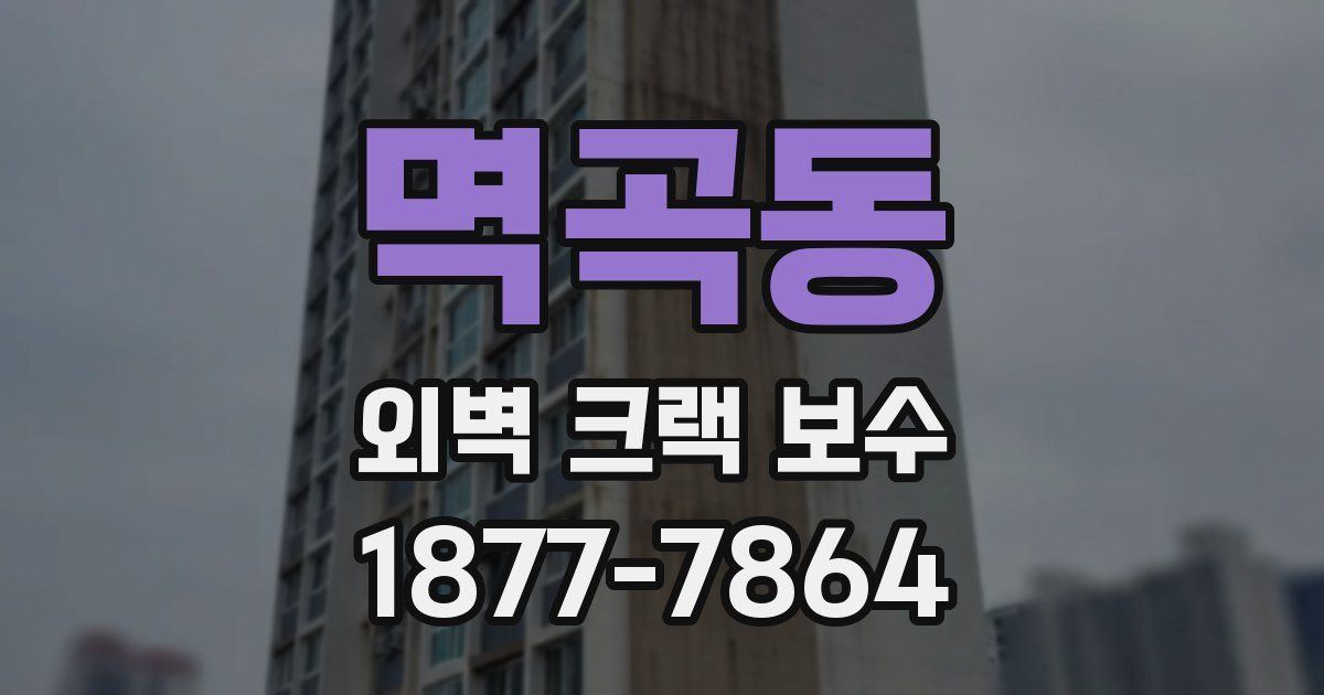 멱곡동 외벽 크랙 보수
