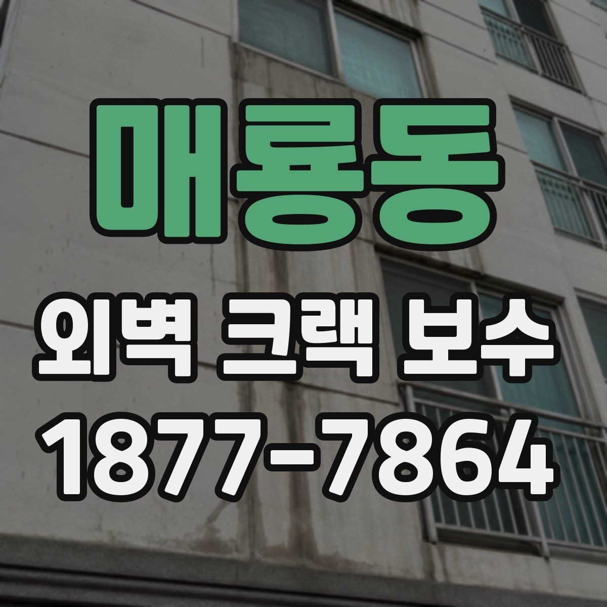 매룡동 외벽 크랙 보수 후 재도장까지 고려해야 하는 이유