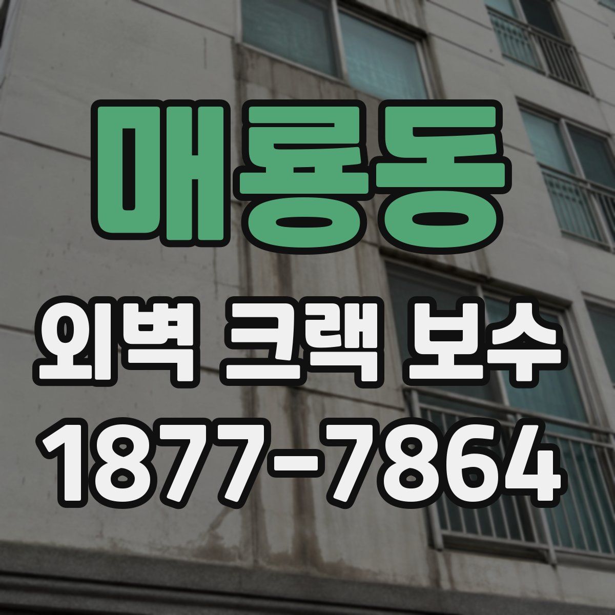 매룡동 외벽 크랙 보수
