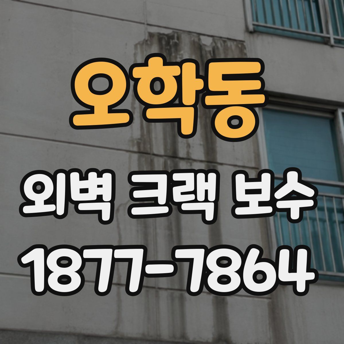 오학동 외벽 크랙 보수