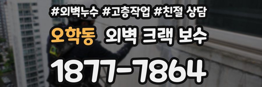 오학동 외벽 크랙 보수