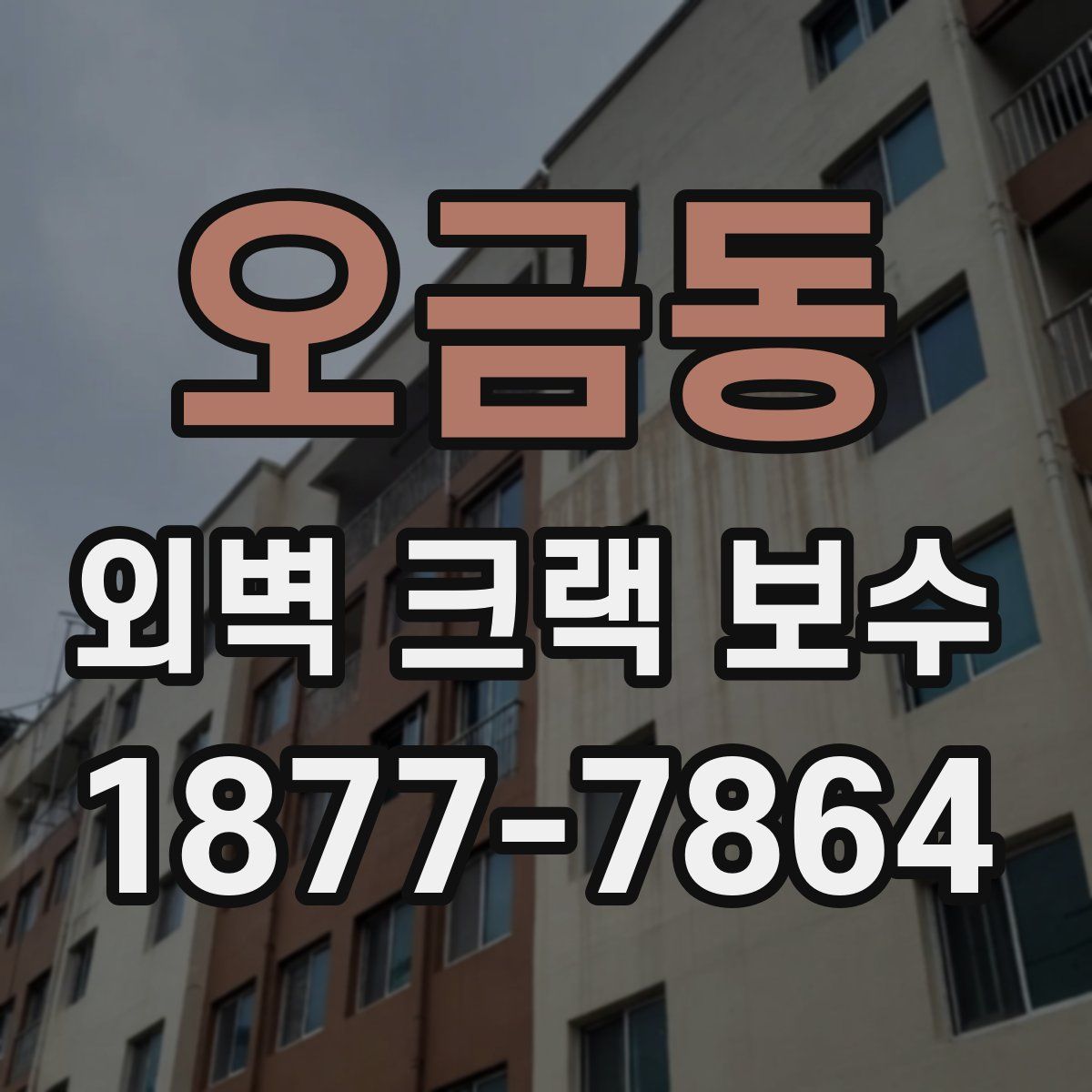 오금동 외벽 크랙 보수