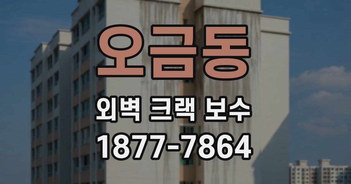 오금동 외벽 크랙 보수
