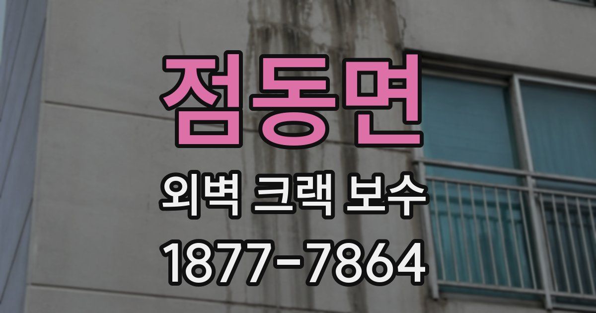 점동면 외벽 크랙 보수