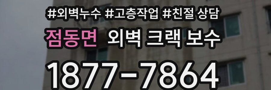 점동면 외벽 크랙 보수