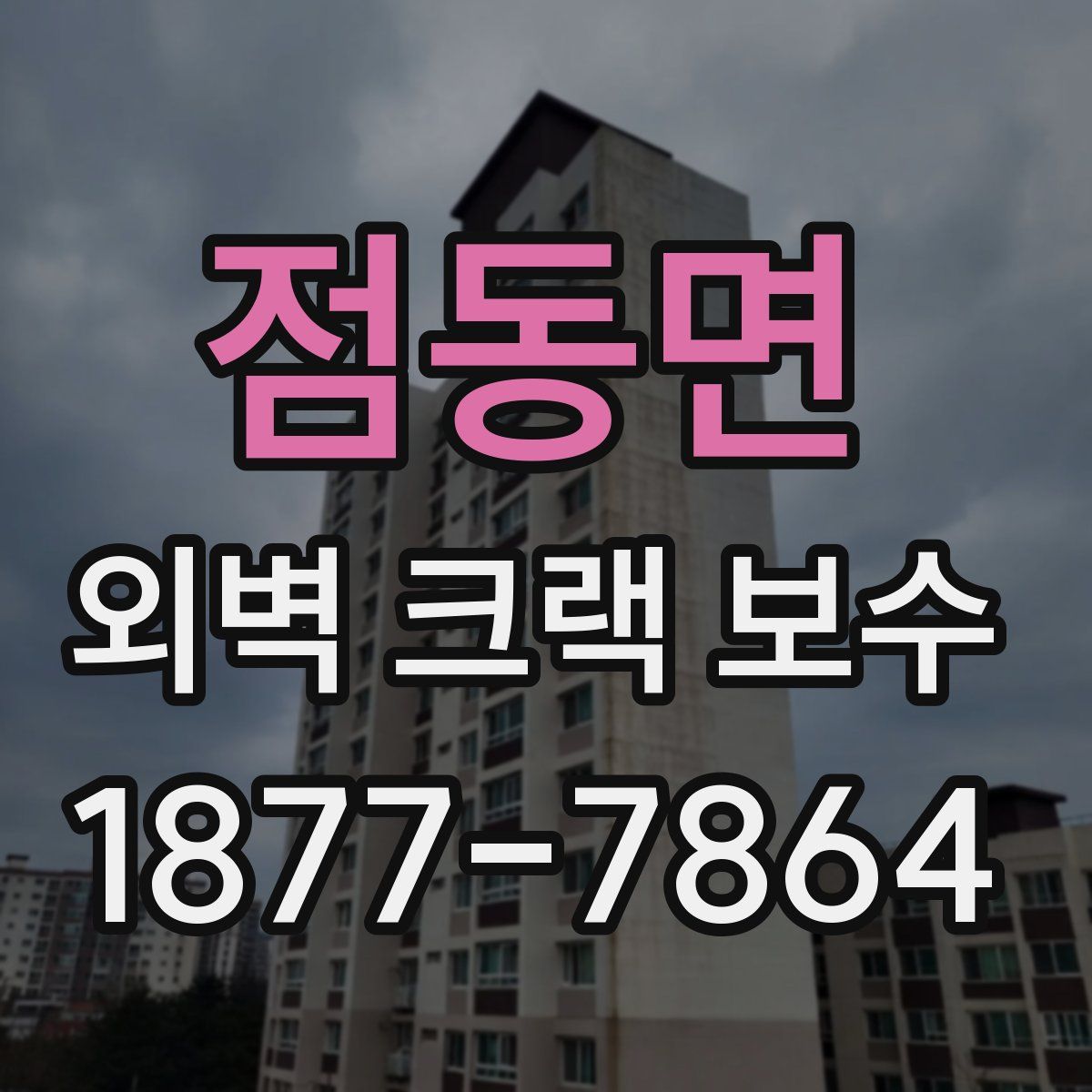 점동면 외벽 크랙 보수