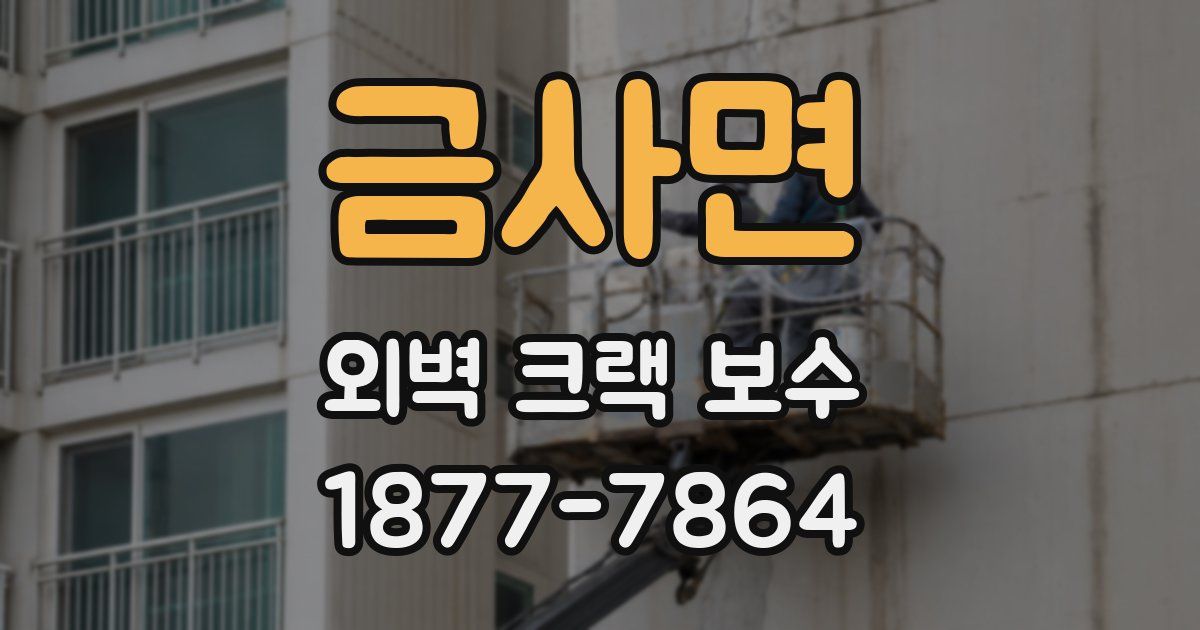 금사면 외벽 크랙 보수