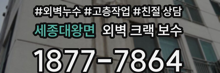 세종대왕면 외벽 크랙 보수