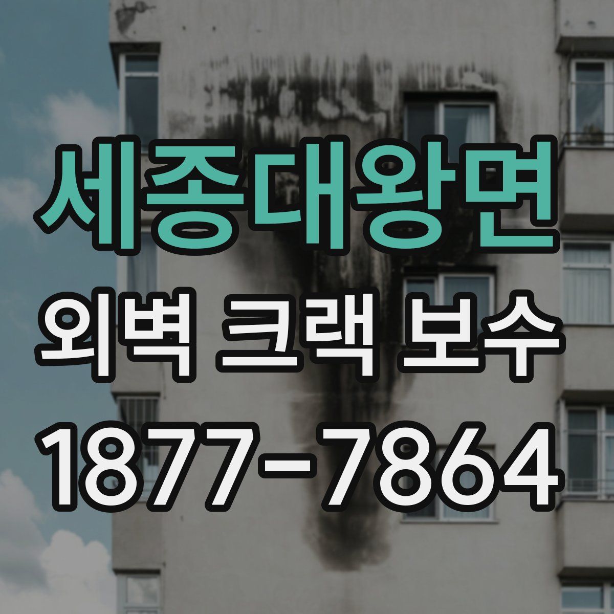 세종대왕면 외벽 크랙 보수