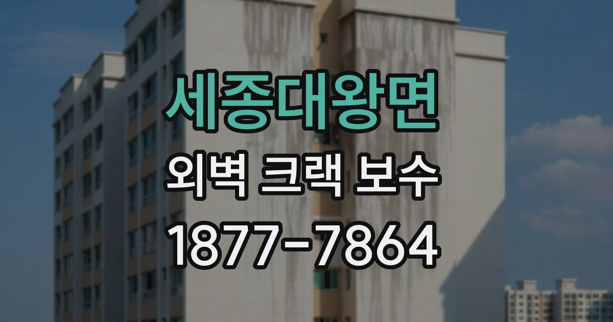 세종대왕면 외벽 크랙 보수
