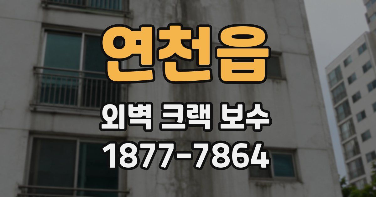 연천읍 외벽 크랙 보수