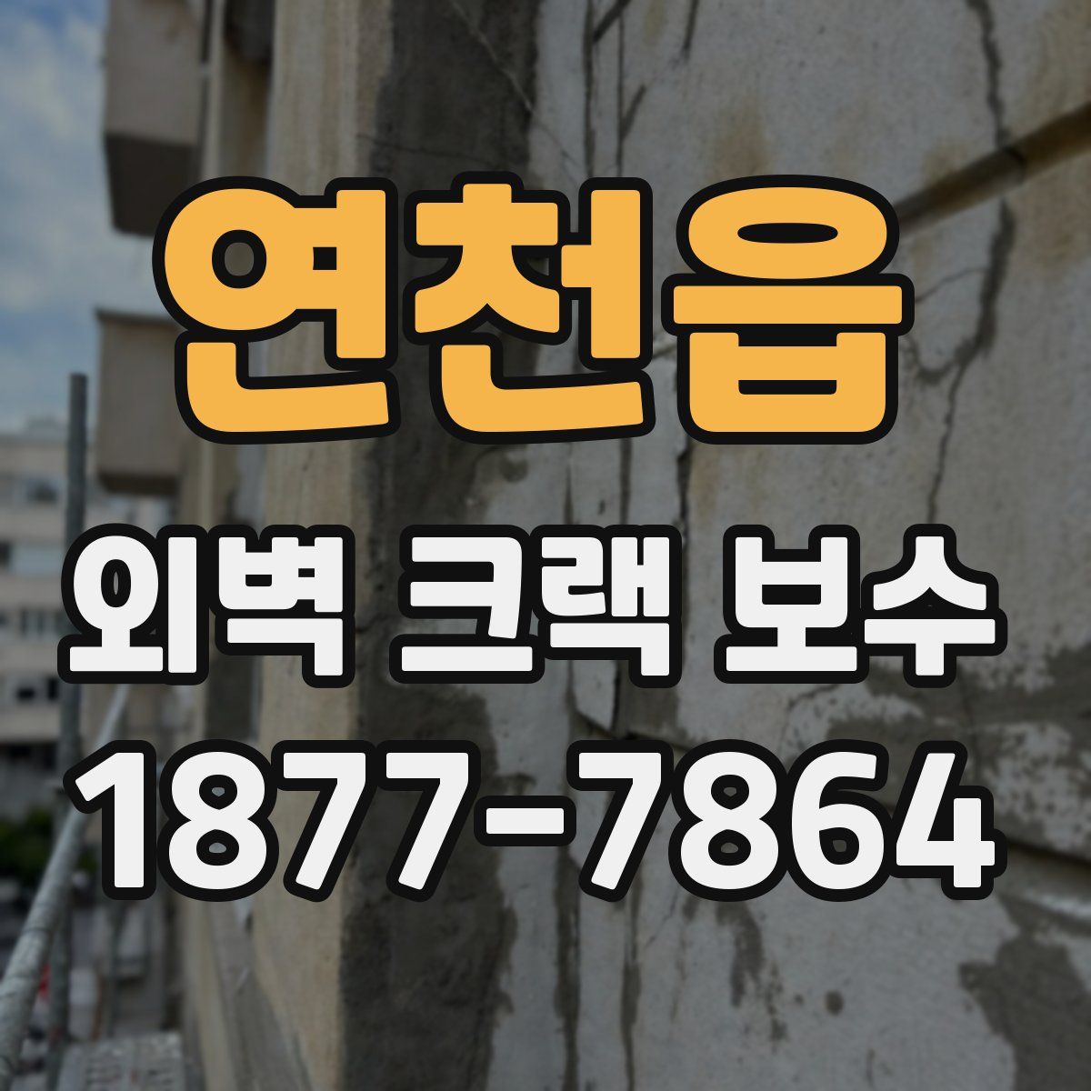 연천읍 외벽 크랙 보수