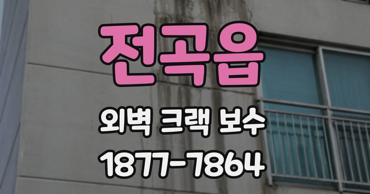 전곡읍 외벽 크랙 보수