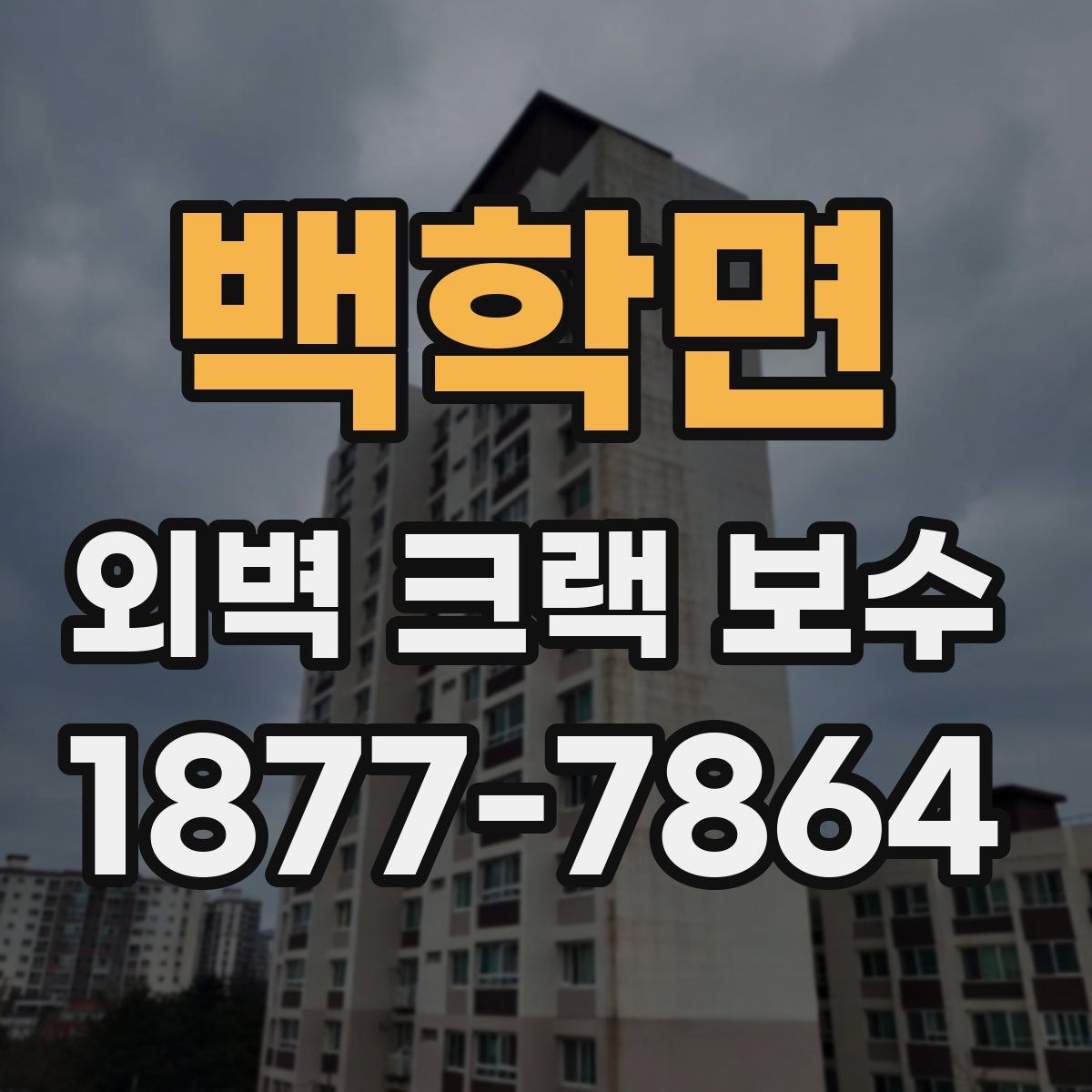 백학면 외벽 크랙 보수