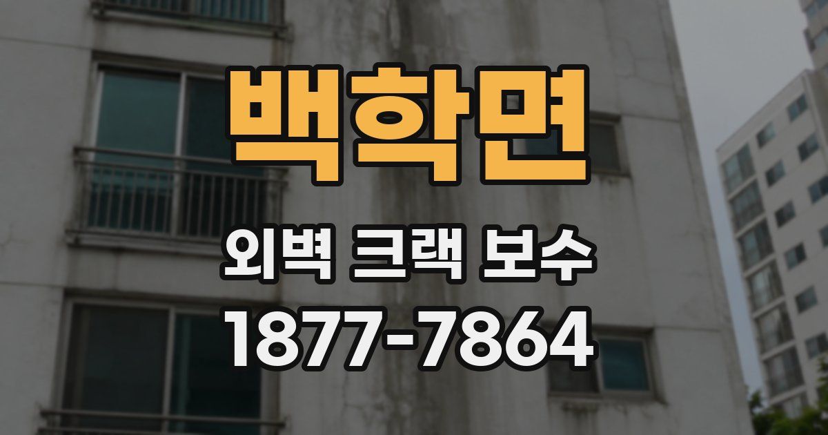 백학면 외벽 크랙 보수