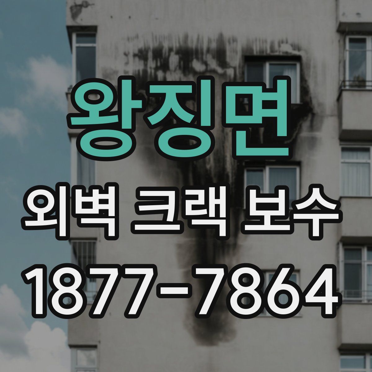 왕징면 외벽 크랙 보수