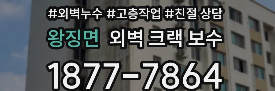 왕징면 외벽 크랙 보수