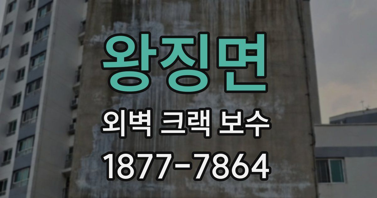 왕징면 외벽 크랙 보수