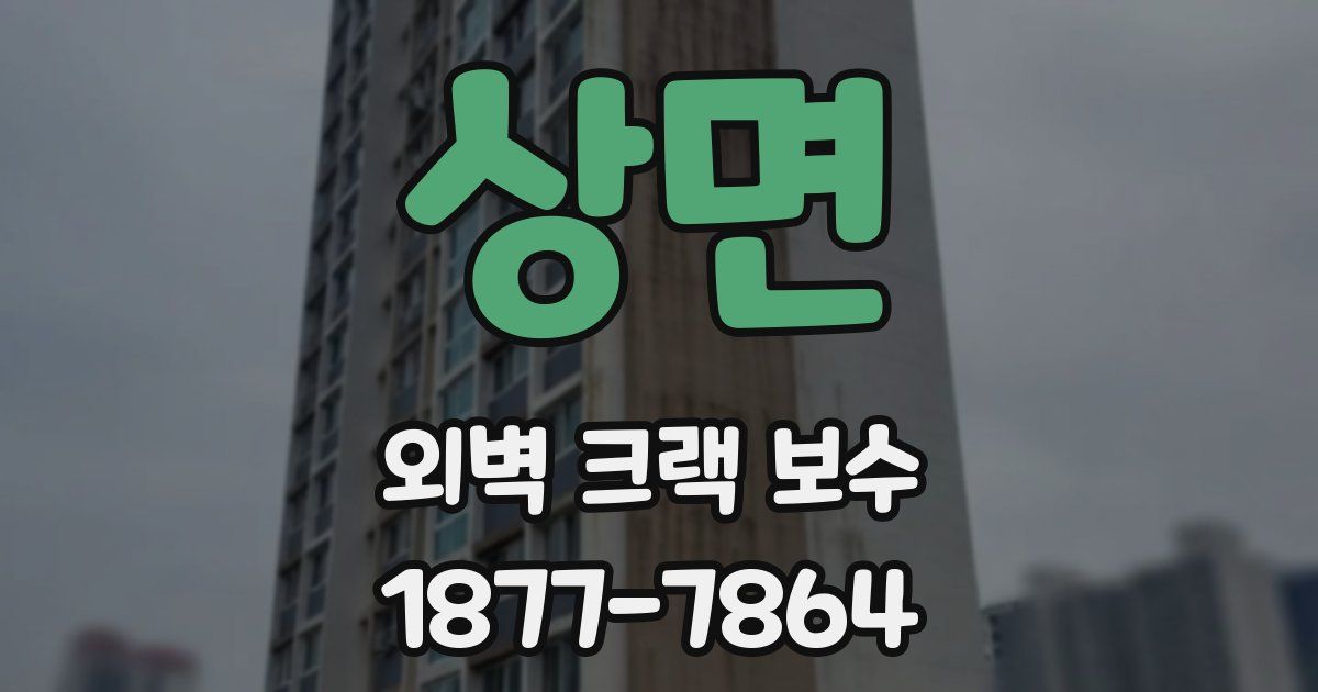 상면 외벽 크랙 보수