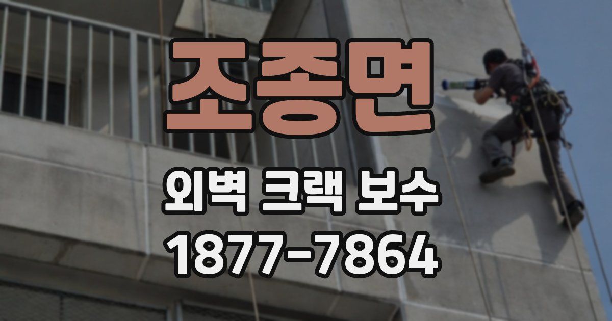 조종면 외벽 크랙 보수