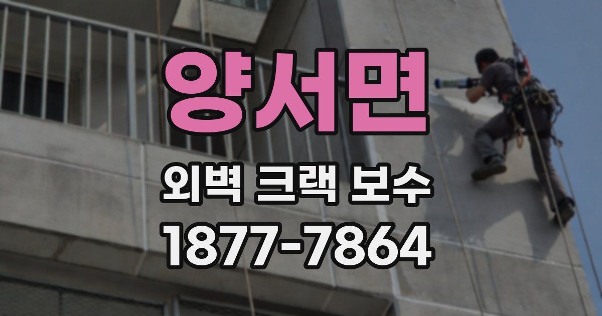 양서면 외벽 크랙 보수