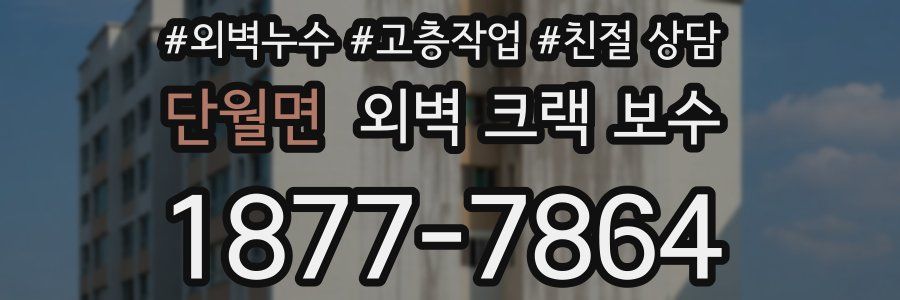 단월면 외벽 크랙 보수