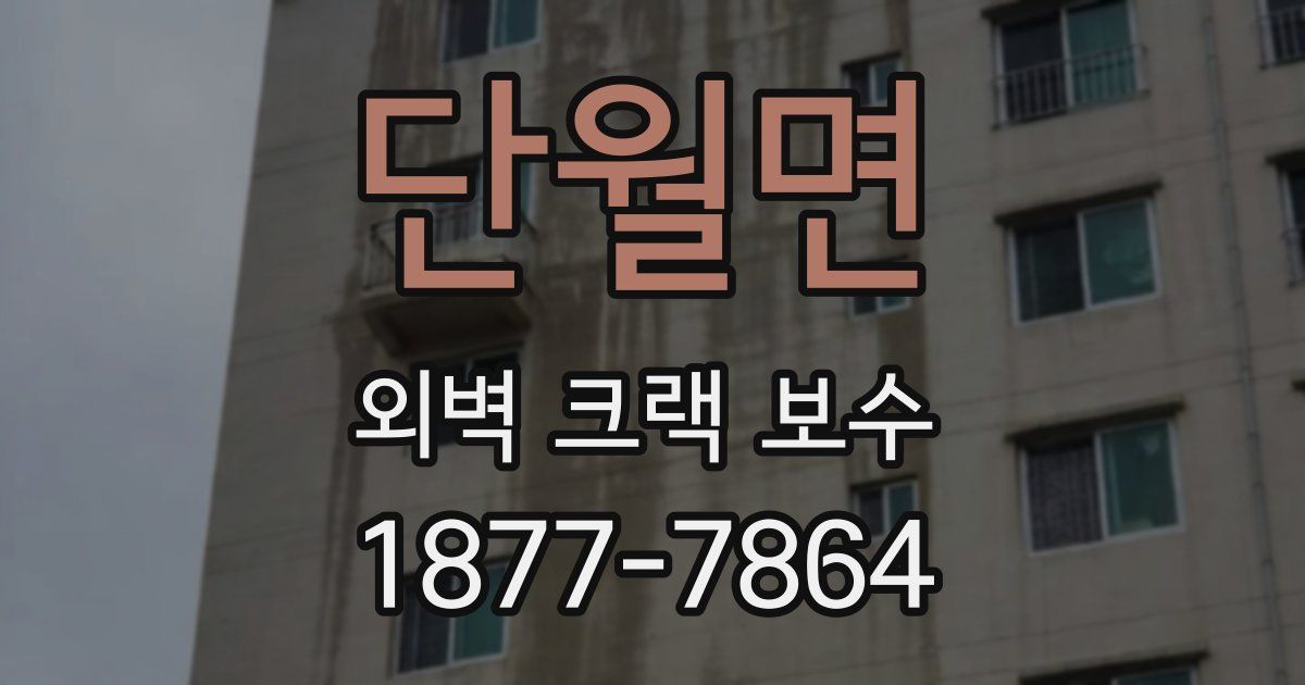 단월면 외벽 크랙 보수