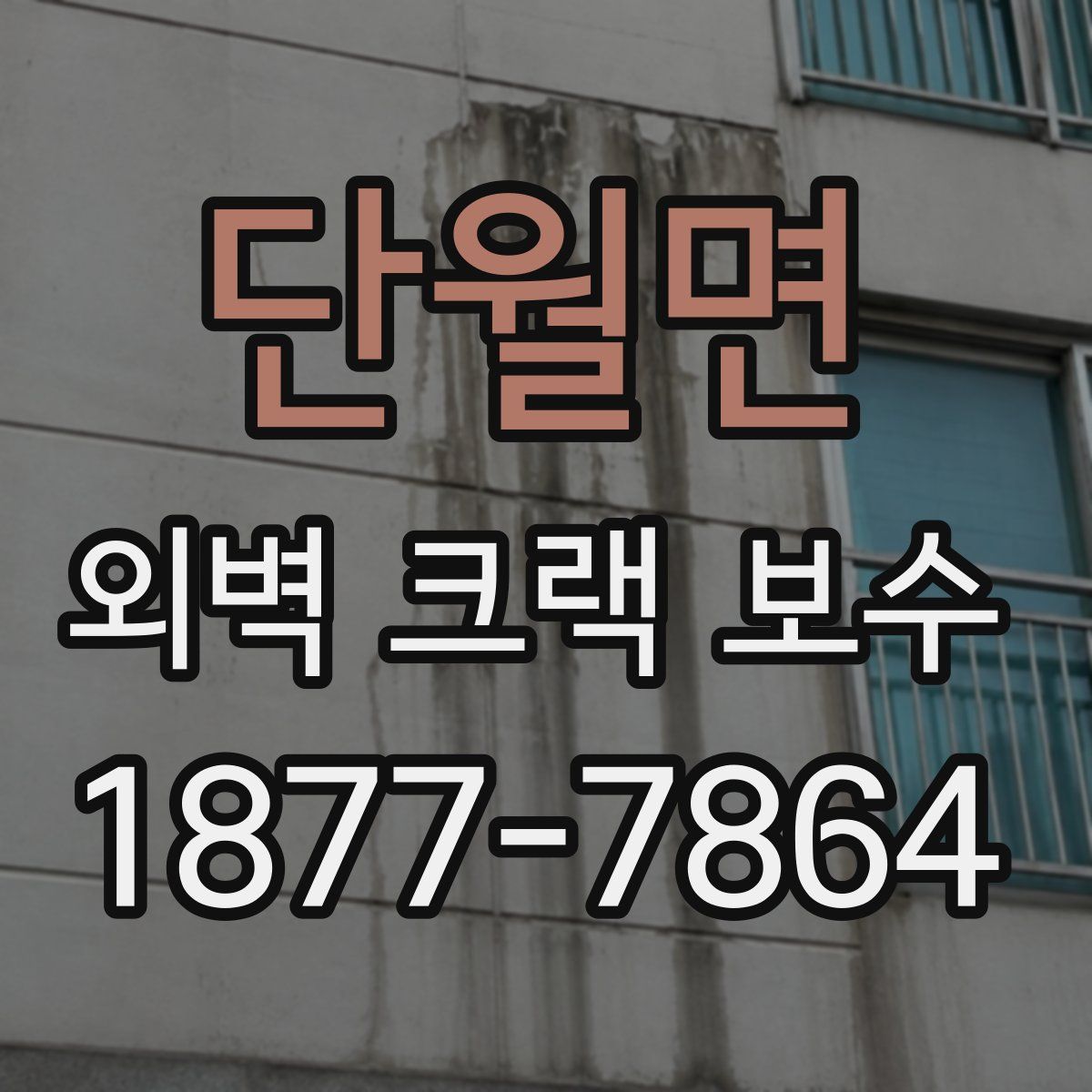 단월면 외벽 크랙 보수