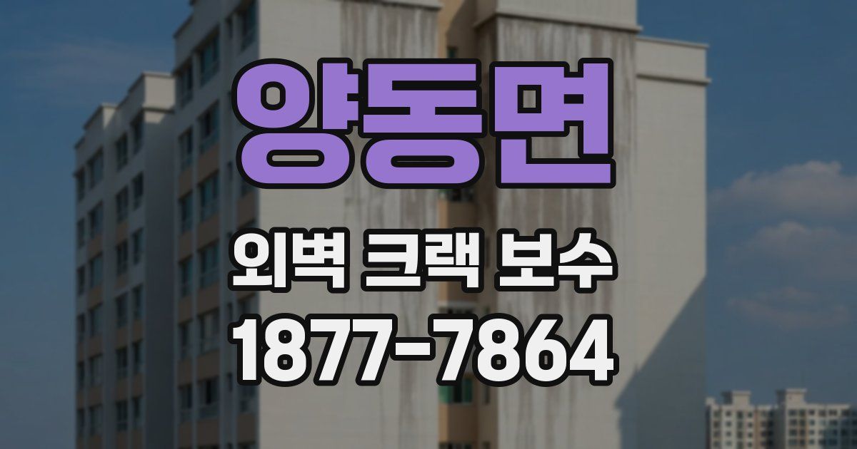 양동면 외벽 크랙 보수