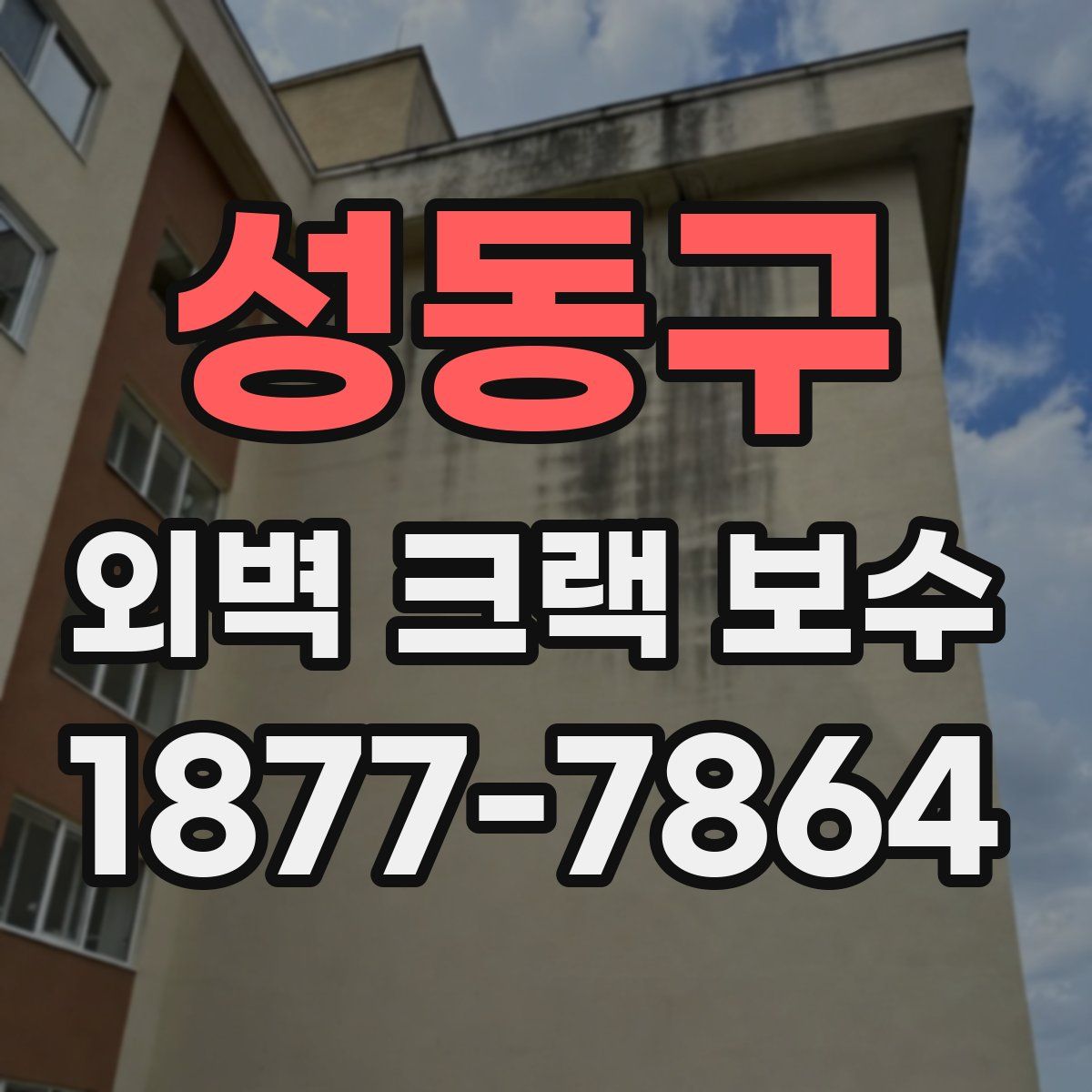 성동구 외벽 크랙 보수