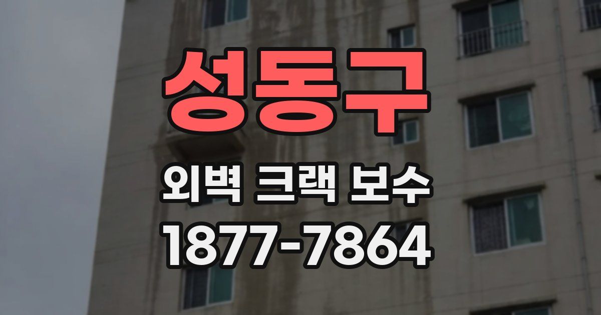 성동구 외벽 크랙 보수