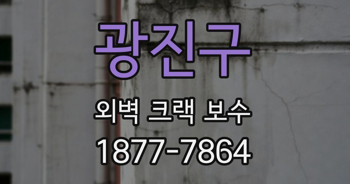 광진구 외벽 크랙 보수