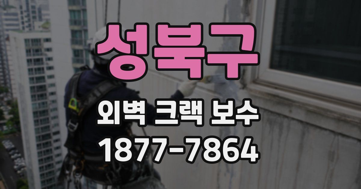 성북구 외벽 크랙 보수