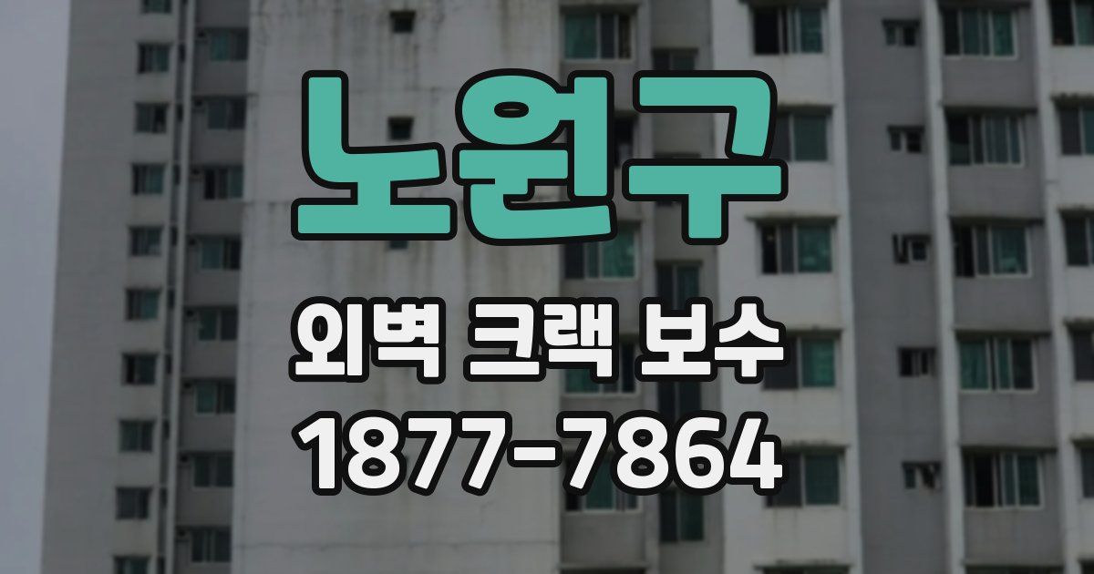 노원구 외벽 크랙 보수